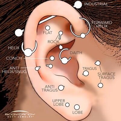 An image showing ear piercing locations
