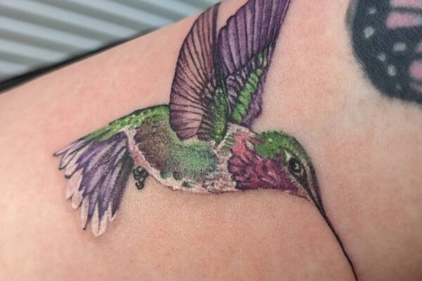 Hummingbird