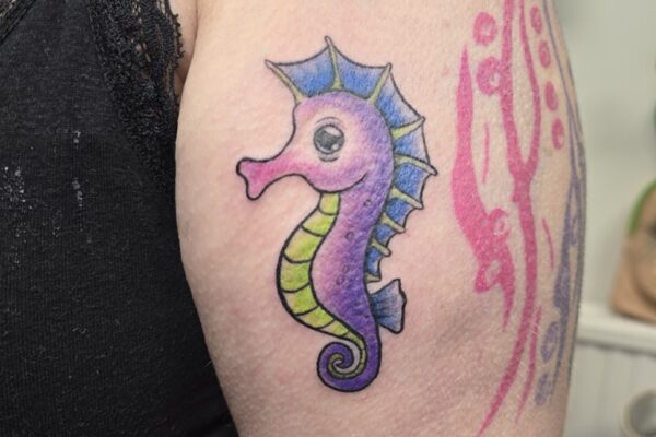 Seahorse