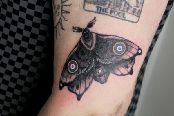 Tigermoth