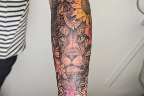 Lion