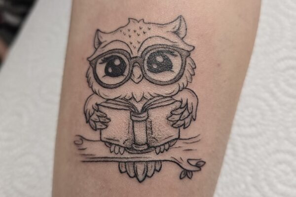 Ani Owl